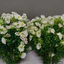 Yunlly 24" Set of 2 Artificial Topiary Ball with Fake Morning Glory Real Looking Flowers Outdoor with Spike, UV Resistant Faux Bush Shrub for Front Porch Garden Indoor Decor(White)