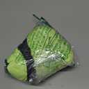 PUMA Mens Teamliga Shorts Casual Bottoms Casual Drawstring (Green, M)