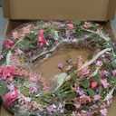 26" Spring Wreaths for Front Door Artificial Floral Wreath with Wildflowers Portulaca CHEAWRTZ Summer Easter Decorations for Indoor Outdoor Window Wall Farmhouse Porch Home Decor Cherry Blossom Pink