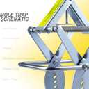 Mole Trap Scissor 2 Pack, Upgraded Mole Traps for Lawns that Kill Best, Galvanized Steel Mole Killer, Easy Step Setup
