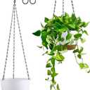 Set of 2 Hanging Planters for Indoor Outdoor Plants, 8 Inch Self-Watering Hanging Flower Pots with Drainage Hole & Removable Water-Storage Tray (Hooks) (White)