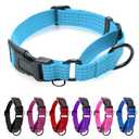 JOOCPUP Martingale Collar for Dogs, Reflective Heavy Duty with Quick Release Nylon Buckle, No Pull Training Choker for Walking, Training, Sky Blue,M