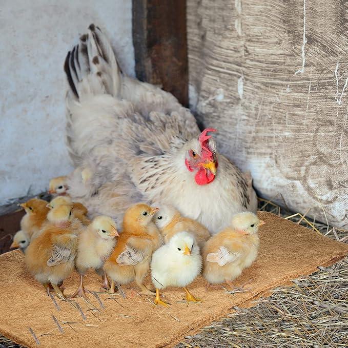 Aoriher 24 Pack Natural Hemp Chicken Nesting Pads Reusable Hens Nest Bedding Mats Chicken Nesting Box Liners for Hen Laying Eggs, Coop Pet Garden Lawn Indoor Outdoor, 11.8 x 11.8 Inches