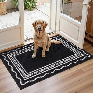 Ileading Indoor Door Mat 2x3ft, Absorbent Dog Muddy Paws Mats, Low-Profile Entrance Small Runner Carpet with Non-Slip Rubber Backing, Washable Inside Welcome Mat for Hallway,Entryway,Kitchen(Black)
