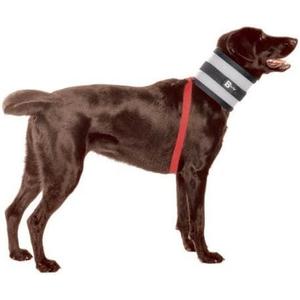 Collar, 8" W x 32", L
