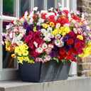 52 Bundles Artificial Flowers for Outdoor 32 Fake Colorful Morning Glory & 20 Realistic Silk Camellia Faux Flower Bulk for Front Door Planter Porch Patio Yard Balcony