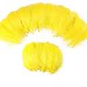 600pcs Yellow Feathers for Craft Wedding Home Party Decorations 