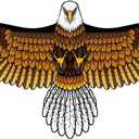 Bald Eagle Kite for Adults and Kids, Huge Kites Easy to Fly Single Line Kite for Beach Trip