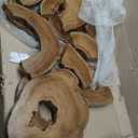 Olive Wood Pieces for Epoxy Board Projects- Small Woods for Resin Board Islands, Raw Edge Olive Wood Slabs