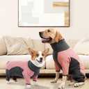 Dog Winter Coat Soft Fleece Dog Clothes for Cold Weather, Warm Dogs Pullover Pajamas Cozy Cold Weather Jacket Full Body Suit Windproof Fleece Sweater for Dogs Walking Hiking Sleeping (Pink L)