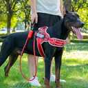 Neck Padded Service Dog Vest Harness and Leash Set, No Pull Adjustable Service Pet Harness with 8 Dog Patches, Reflective in Training Easy Control Pet Vest with 5ft Dog Leash for Medium & Large Dogs