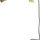 Crown Automotive 52128431AC Brake Hose, 
Item Weight	6.4 ounces