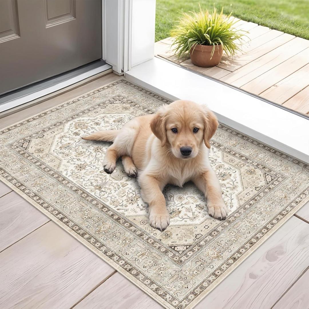 HILORUUG Washable Area Rug 2x3 - Entryway Living Room Large Indoor Rugs Soft Oriental Vintage Bedroom Rugs Non-Slip Backing Stain Resistant for Farmhouse Kitchen-2x3 Ivory