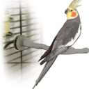 K&H Pet Products Thermo-Perch Heated Bird Perch for Cage, Bird Cage Accessory, Exotic Avian Warming Post for Small/Medium Feathered Friends Like Parakeet, Cockatiel, Canary - Small 1 X 10.5in 12V