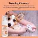 2 x Foam Dog Paw Cleaner - Alcohol Free Foaming Paw Sanitizer Spritz - Made with Coconut, Aloe, Copaiba Oil, and Lemongrass Oil to Nourish and Clean Paws - Made in The USA (1.7 oz)