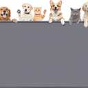 Dog Food Mat, Extra Large 51" x 25.6" Silicone Pet Feeding Mat with Raised Edge Pet Placemat for Small, Medium, and Large Pets Non-Slip, Easy to Clean (Dark Grey)