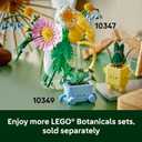 LEGO Botanicals Happy Plants Building Toy for Kids, Girls, and Boys 9+ - Playroom Decor for Desk or Shelf - Birthday Gift Idea for Young Gardeners - Artificial Indoor Plant for Play & Display - 10349