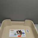 KittyGoHere Senior Cat Litter Box, Large Litter pan, Open Top Low Entrance Kitty Litter Box, Lightweight Low Entry Litters Box, Durable, Made in USA - Beach Sand)