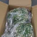 KMTOSA Artificial Campanula with White Bellflower Garden Accents, Set of 2, 22 Inches with Metal Stands, Faux Ornamental Grass Decor for Outdoor Lawn & Patio