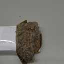 Woaboy Faux Fur Throw Pillow Covers 20x12 Inch Set of 2 Boucle Neutral Decorative Lumbar Sherpa Fuzzy Accent Soft Sheepskin Fleece Cushions Modern Home Decor for Couch Sofa Bedroom Living Room,Khaki