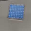 Cryogenic Storage Box - Polycarbonate Freezer Boxes,Blue/81 Place, for Storing 1.5-2.0 mL Cryotubes (Pack of 1)