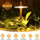 Gardencoin Solid Brass Low Voltage Pathway Lights (6.7'' Shade, 21.9'' Tall), 12V AC/DC Heavy Duty LED Landscape Path Lights Outdoor Wired, Antique Bronze Walkway Lights with Larger Stake, 4-Pack