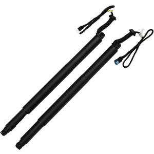 X AUTOHAUX Rear Left Right Tailgate Power Lift Support for BMW X6 F16 F86 2014-2019 Liftgate Power Hatch Shock Strut No.51247434043 Electric Trunk Power Liftgate Actuator 1 Pair