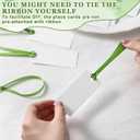 50 Pack Table Name Cards with Green Ribbon Blank Wedding Place Card 1.57''x3.54'' Name Place Cards for Table Setting Hanging Gift Tags for Wedding Dinner Party Banquet Events