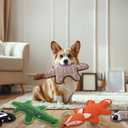 Eneston 5 Pack No Stuffing Squeaky Dog Toys for Large Dogs  Interactive Durable Plush Chew Toy with Crinkle Paper, Safe Pet Toy for Small to Large Breed, Ideal for Puppy Gifts & Tug of War Toys