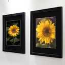 SKAOTUS 18x18 Picture Frame Black Solid Wood for Black Mat 14x14 Wall Mounting Square Poster Frames