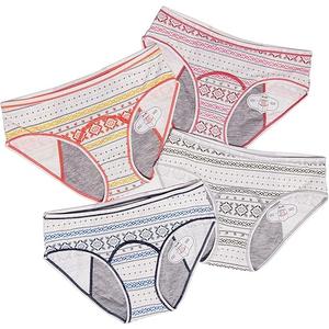 Anna & Eric 4 Pack Teen Girls Protective Panties Leak Proof Underwear Heavy Flow Women Postpartum Briefs Size S