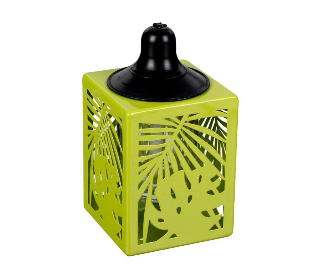 Everyday Living Oil Torch Palm Leaf - Green