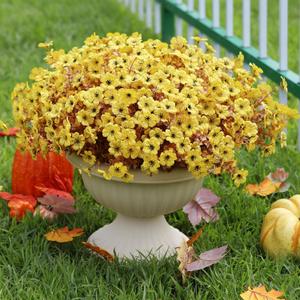 12 Bundles Artificial Mums for Outdoors, Fall Fake Flowers Outside UV Resistant, Faux Fall Mums Flowers for Outdoor Planters, Window Boxes, Front Porch-Fall Yellow