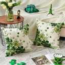 2 x AVOIN colorlife St Patricks Day Shamrock Phnom Penh Throw Pillow Covers, 18 x 18 Inch Clover White Floral Cushion Case Decoration for Sofa Couch Set of 2