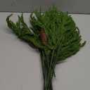 Artificial Christmas Norfolk Pine Stems Branches for Vases,12 Bundles Faux Pine Branches with 5 PCS Big Fake Pinecones Stems Greenery Evergreen Real Touch for Holiday Winter Table Xmas Decor