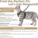 Cat Harness and Leash Set Escape Proof Tactical Large Kitten Harness Emotional Support Cat Vest, Grey, L