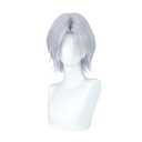Short Silver Grey Hair Wig for Men Short Cosplay Wigs Middle Part Male Role Anime Game Costume Wigs Cosplayer Synthetic Wig