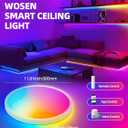 2 Pack 12 Inch Smart Ceiling Light Fixture, RGB LED Flush Mount Ceiling Light with Night Light, 24W 2400LM Ultra-Slim Ceiling Light with Remote, 16 Million DIY Colors, Works with Alexa/Google Home