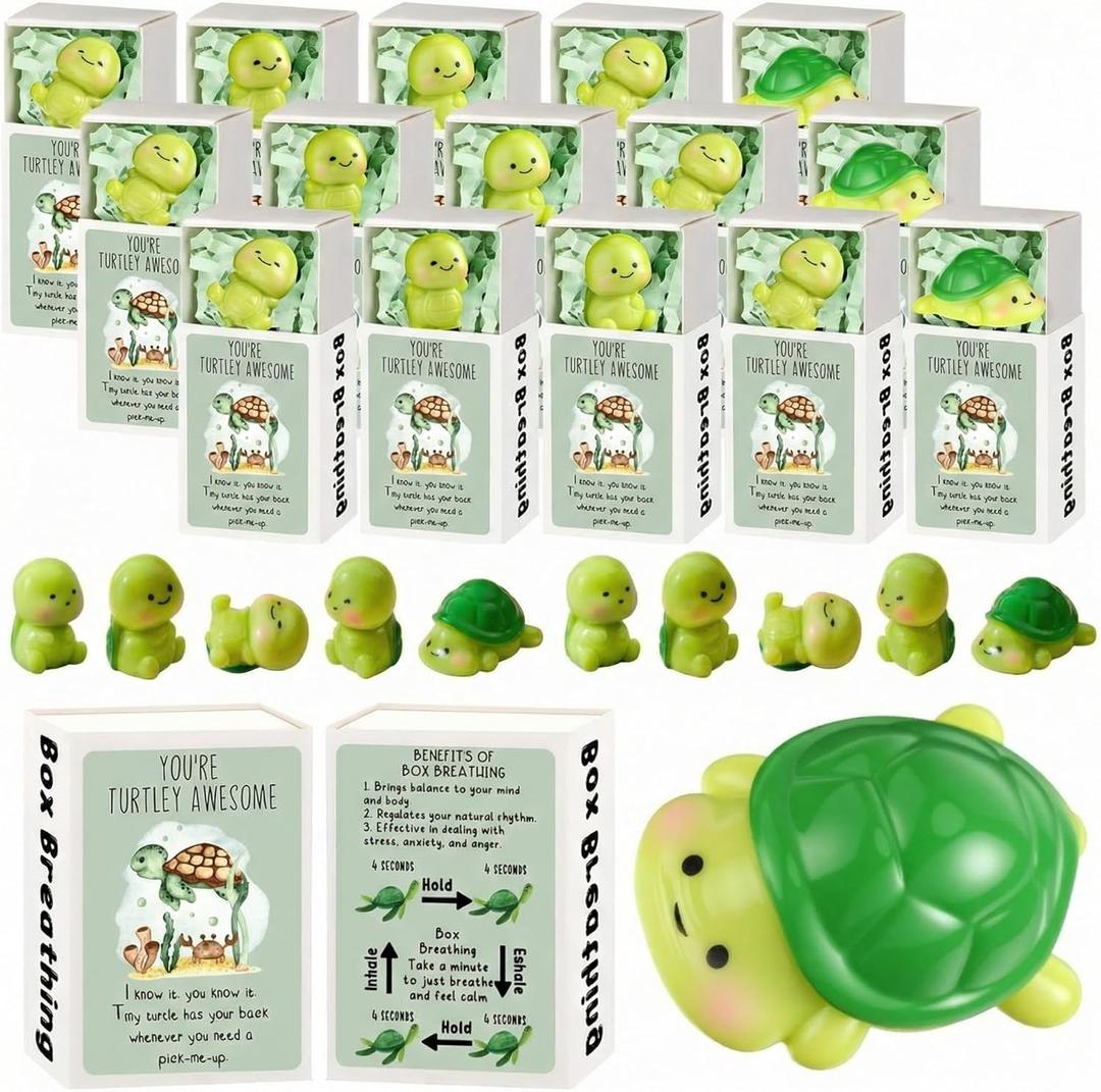 Bulk Employee Appreciation Gift for Social Worker Coworker Office Thank You Small Funny Desk Pets Cute Resin Ornament Party Favor Positive Volunteer Emotional Card Box(25 Set,Turtle)