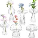 Mushroom Vase, Sunoyar Set of 6 Unique Mushroom Propagation Vases for Plants, Cute Small Indoor Hydroponic Plants Propagation Stations for Bedroom Drawing Room Office Cafe Window Sill (Clear 6pc)