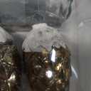 Kurt Adler UL 10-Light Pinecone Light Set