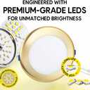 6 inch Slim Ultra-Thin Round Downlight Luminaire, Brushed Brass Finish, LED Recessed Light Fixtures Dimmable, 20W=135W, 1700 Lumens, IC Rated, 5CCT Selectable 2700K|3000K|3500K|4100K|5000K