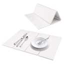 REGALWOVEN Foldable Diatomaceous Stone Dish Drying Mat, Quick Dry Dish Drying Mats for Kitchen Counter, Dishes, and Utensils White