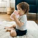 Dr. Brown's Milestones Cheers360 Training Sippy Cup for Babies & Toddlers - Pink Animals - 10oz - 9m+