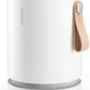 Molekule Air Purifier Mini+ - Purifies Rooms Up to 250 Sq Ft - Smart Purifier with High Pollutant Capture Rate - Air Quality Monitoring Capabilities - White
