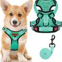 MIDOG No-Pull Dog Harness | Adjustable & Reflective Pet Harness Leash Set for Small Medium Large Dogs Walking, Training| No Choke, Front Clip, Soft Padded Vest with Easy Control Handle - Green, S