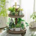 Hanobe Two Tiered Tray Stand: Boho Spring 2 Tier Decorative Trays - Vintage Round Coffee Table Decor Display Stands for Living Room Kitchen Centerpieces