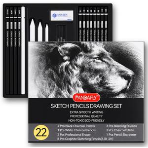 PANDAFLY Drawing Sketching Pencil Set, 22 Piece Pro Art Pencil Kit - Graphite Pencils (12B-2H), Black and White Charcoal Pencils, Charcoal Sticks, Stumps, Eraser, Sharpeners