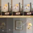 Battery Operated Gold Rattan Wall Sconces Set of Tow Rechargeable Wireless Battery Powered Large Boho Wall Lights with Grass-Woven Lampshade for Bedroom Living Room Entryway Hallway