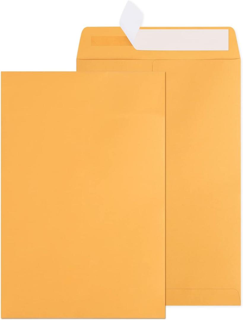 6x9 Catalog Envelopes 300 Pack Small Envelopes Brown Kraft Self Seal Security Mailing Envelopes for Documents, Cards, Photos, Office, Business